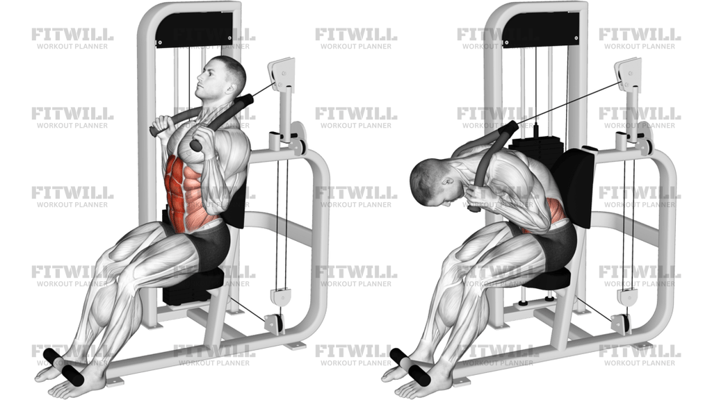Lever Seated Full Crunch