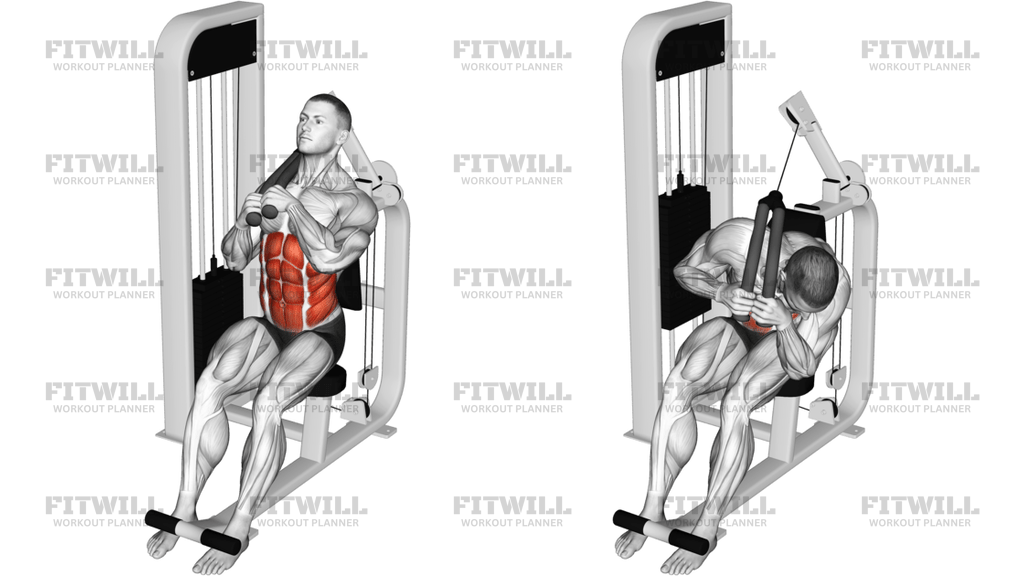 Lever Seated Left Side Crunch