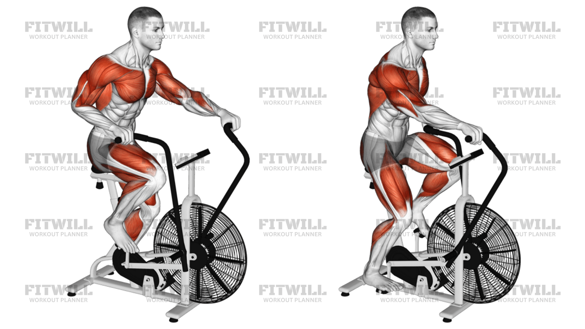 Assault bike hiit on sale