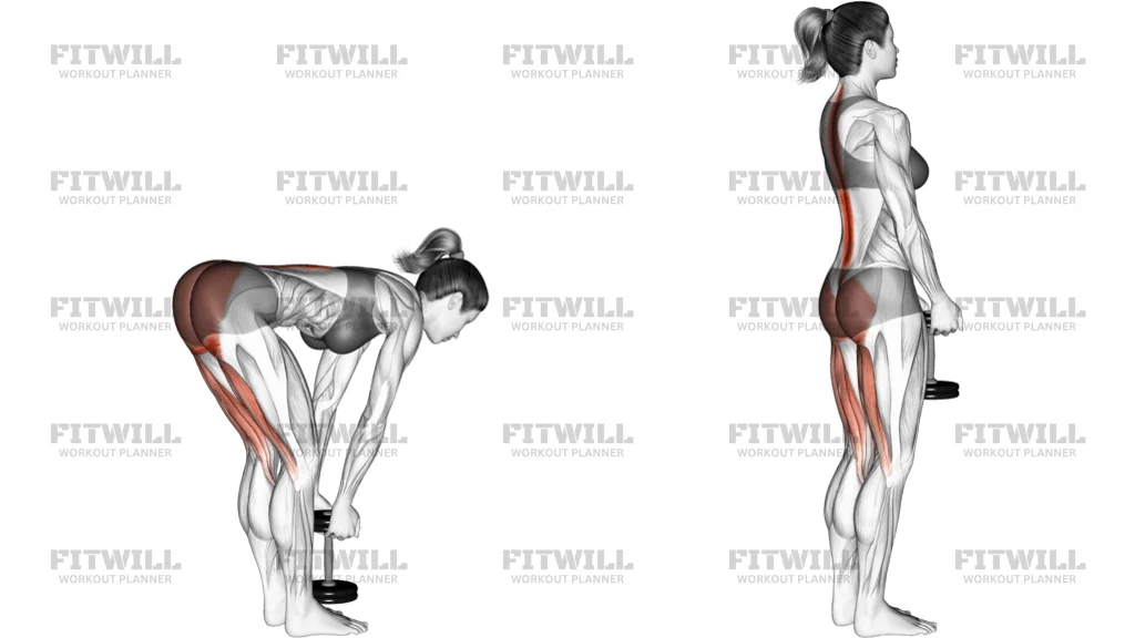 Dumbbell Stiff Leg Deadlift