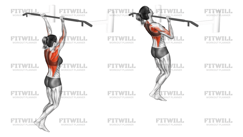 Reverse Grip Pull-up: Exercise Guide, Video, Techniques, Benefits, How ...