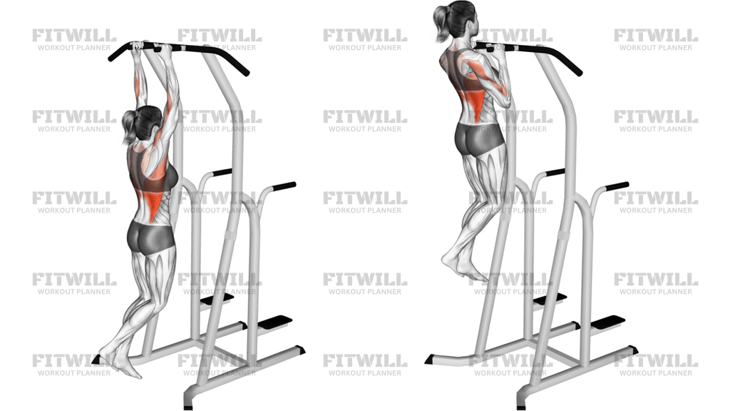 Dip Kafesinde Hammer Grip Barfiks