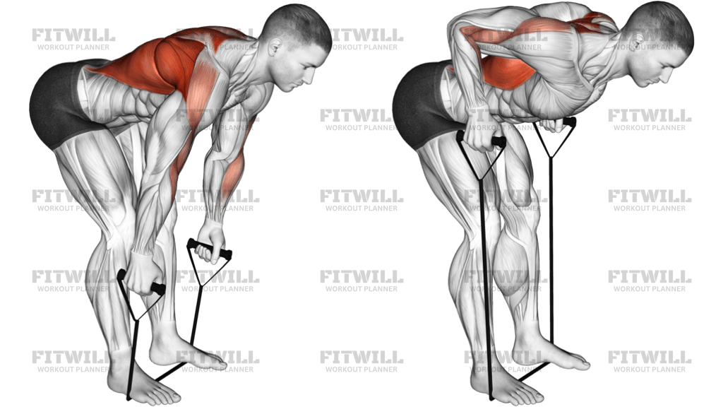 Band Bent-Over Row
