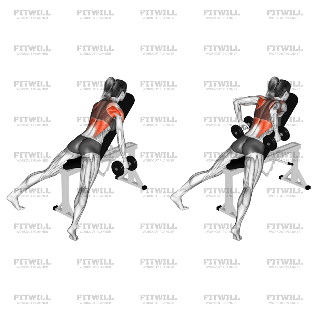 Dumbbell hammer row hotsell