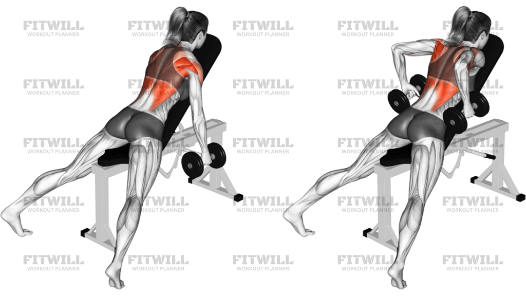 Dumbbell Hammer Grip Incline Bench Two Arm Row