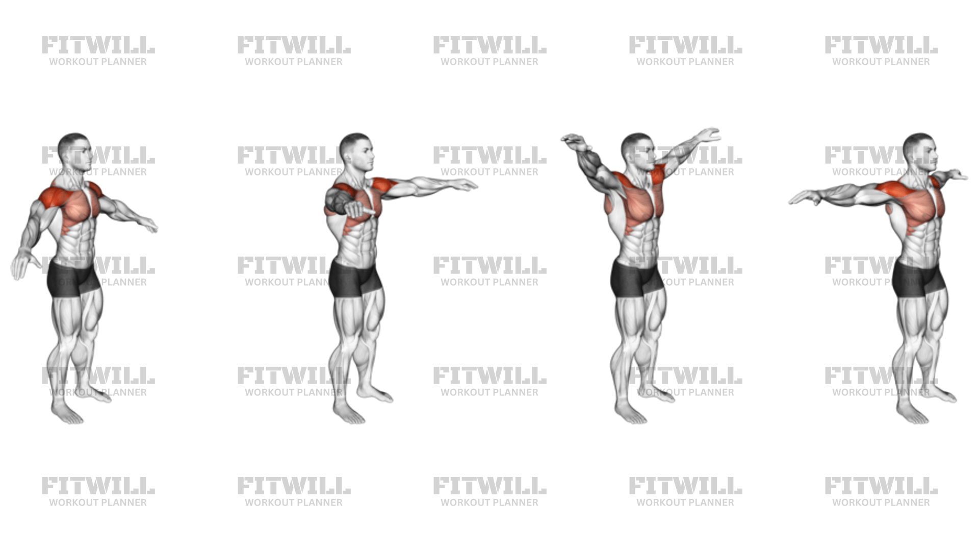 Arm Circles Guide, Techniques, Benefits, How to, Muscles Worked, Tips