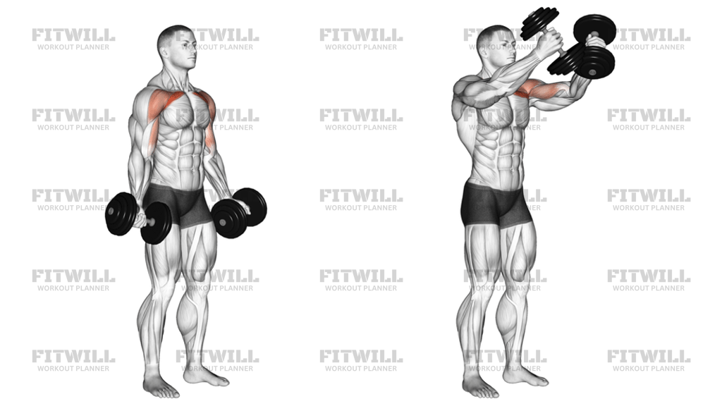 Dumbbell Low Fly