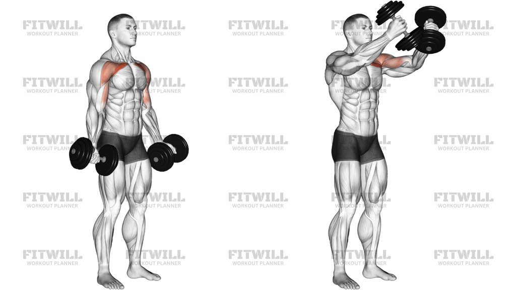 Dumbbell Low Fly