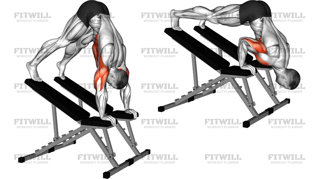 Decline Pike Press Between Benches