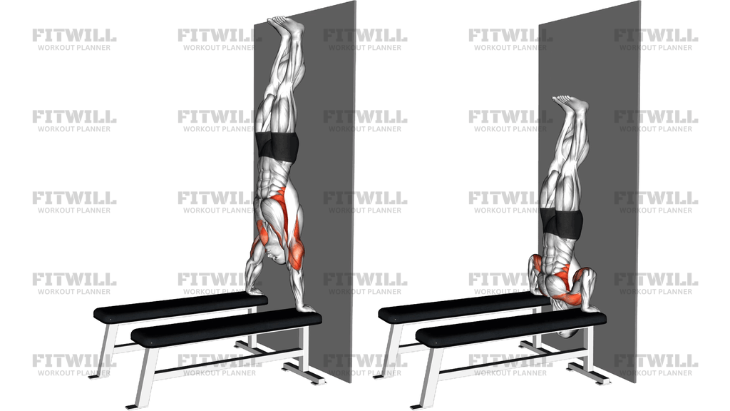 Handstand Shoulder Press With Wall Between Benches