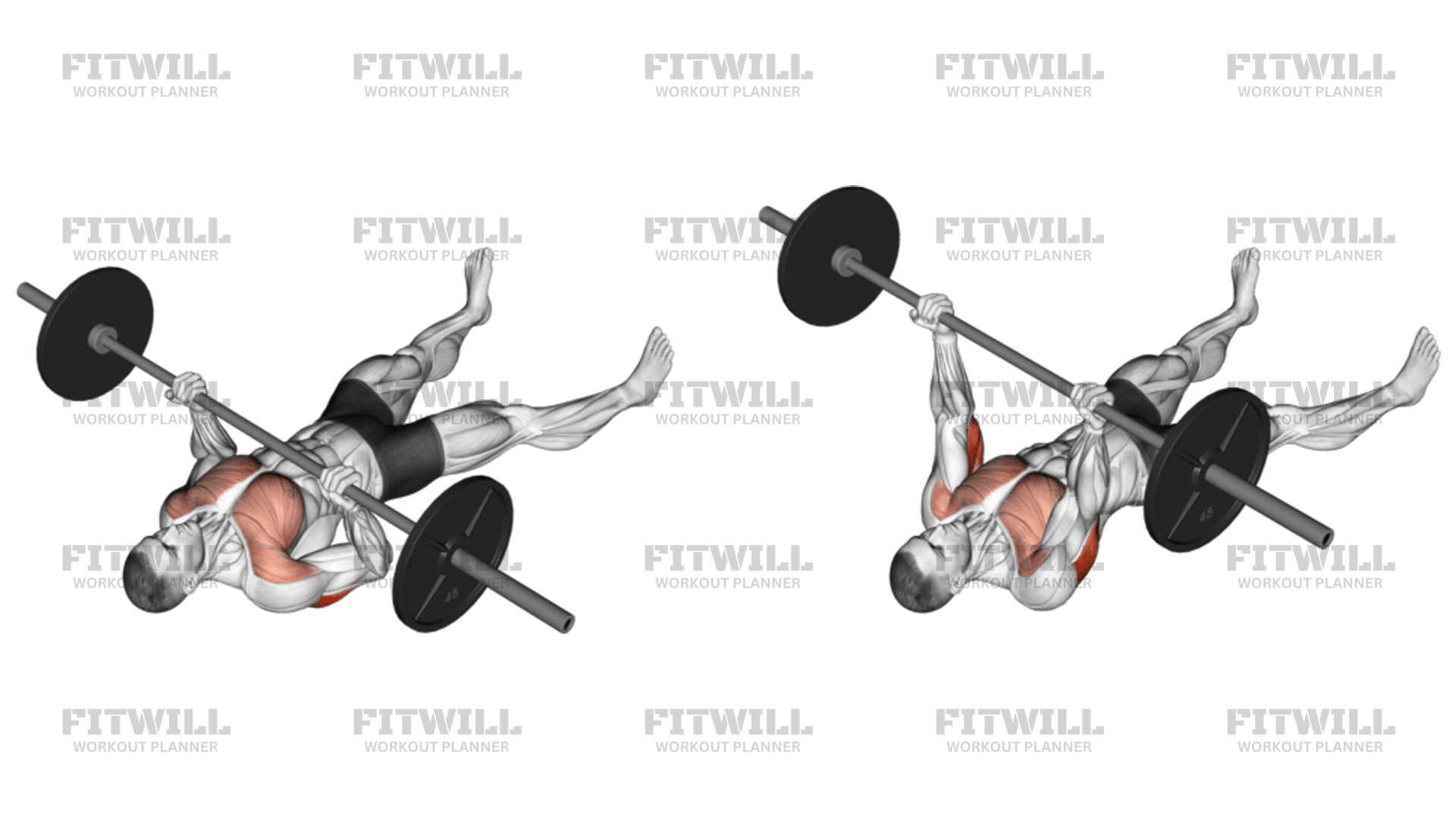 Barbell Reverse Grip Floor Press Exercise Guide Techniques Benefits How to Muscles Worked Tips Tricks Fitwill