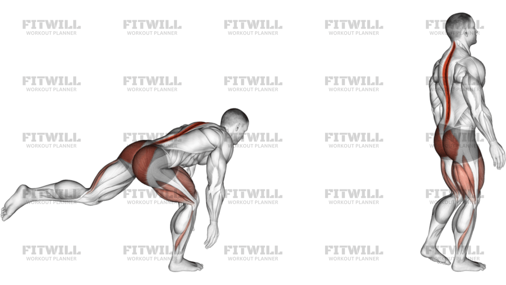 Bodyweight Single Leg Deadlift