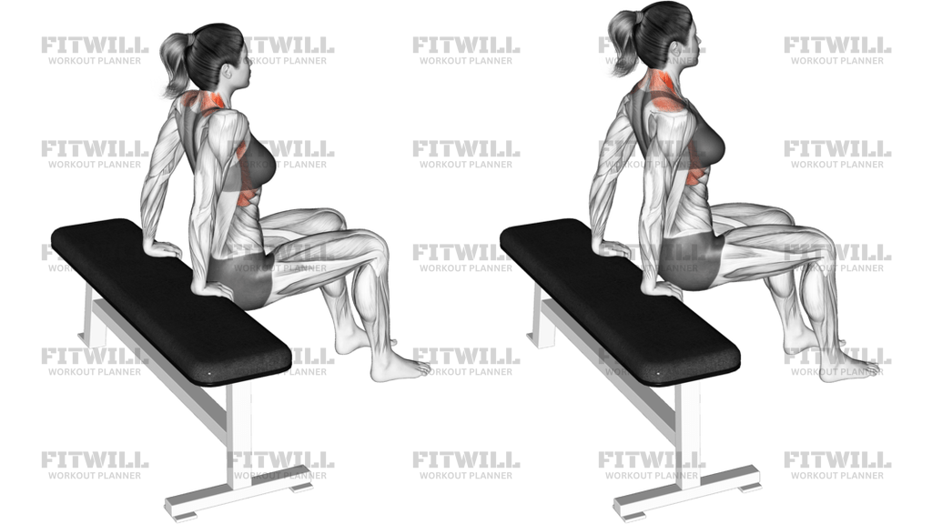 Scapula Dips