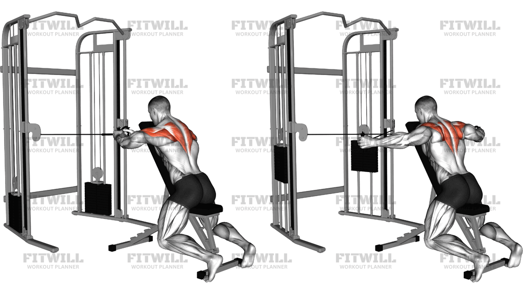 Cable Seated Rear Delt Fly With Chest Support