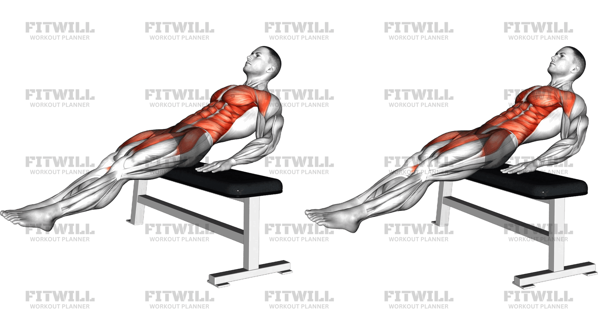 Seated Alternate Crunch: Exercise Guide, Techniques, Benefits, How to ...