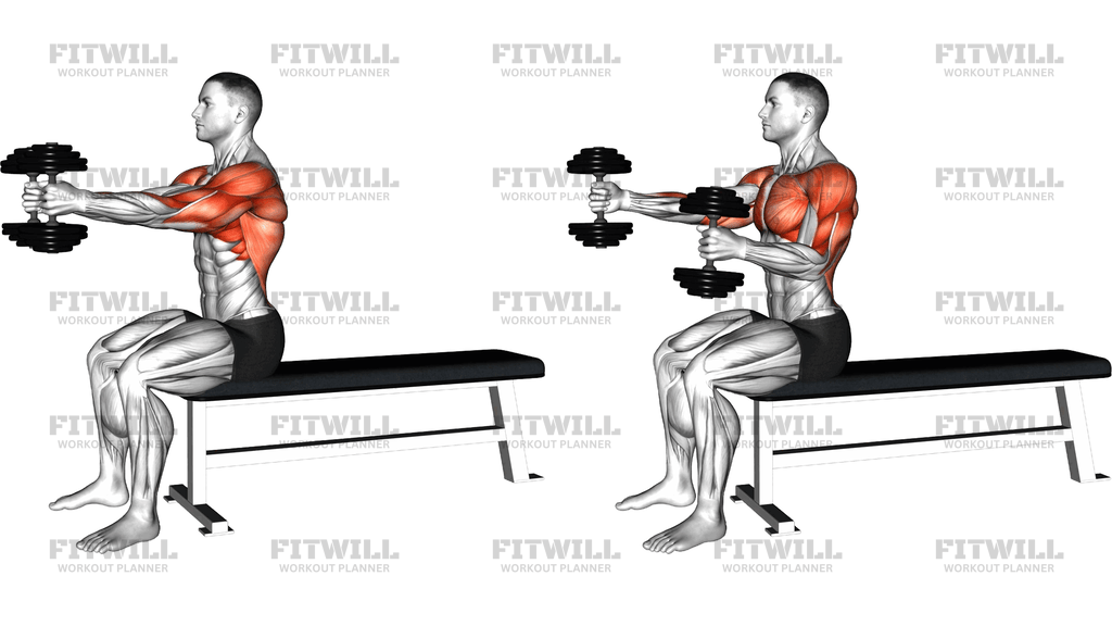Dumbbell Seated Upright Alternate Squeeze Press