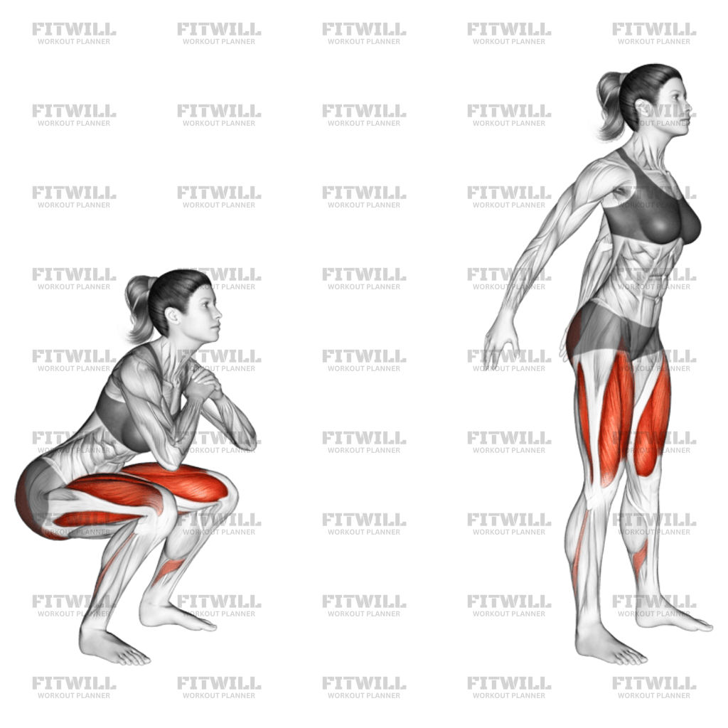 Air Squat Exercise Guide Techniques Benefits How To Muscles Worked Tips And Tricks Fitwill