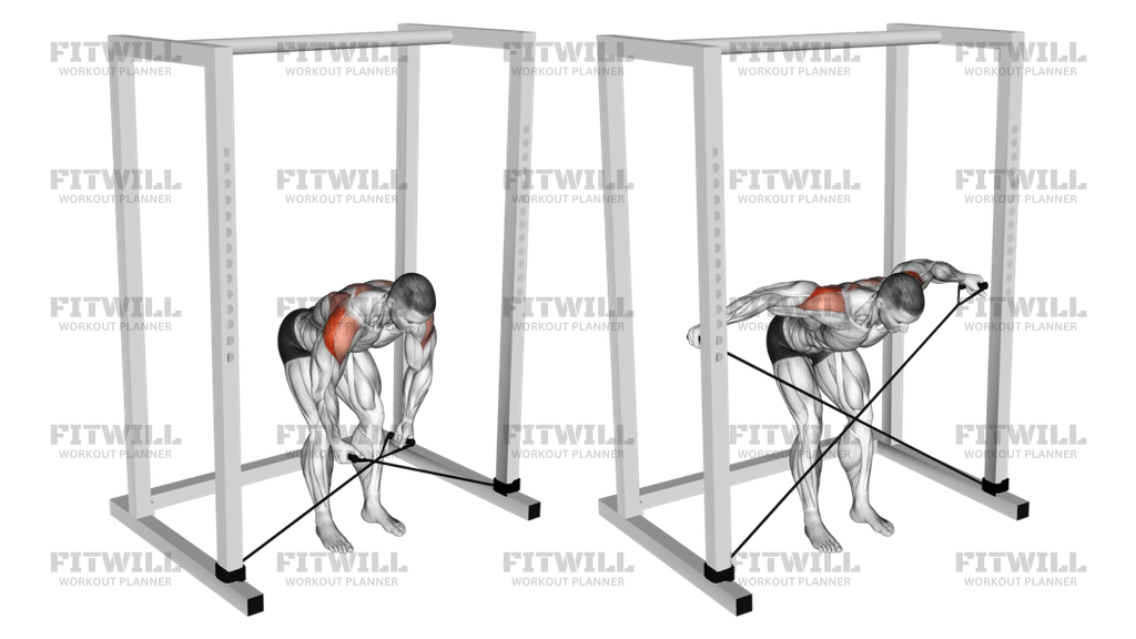 Band Bent over Rear Lateral Raise Exercise Video Fitwill