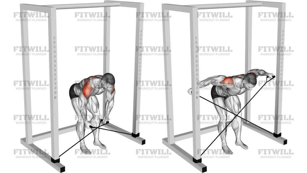 Band Bent-Over Rear Lateral Raise