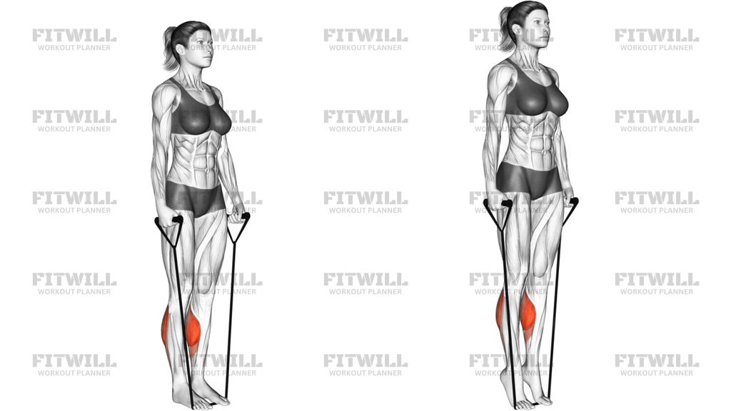 Band Two Legs Calf Raise Band Under Both Legs Version 2