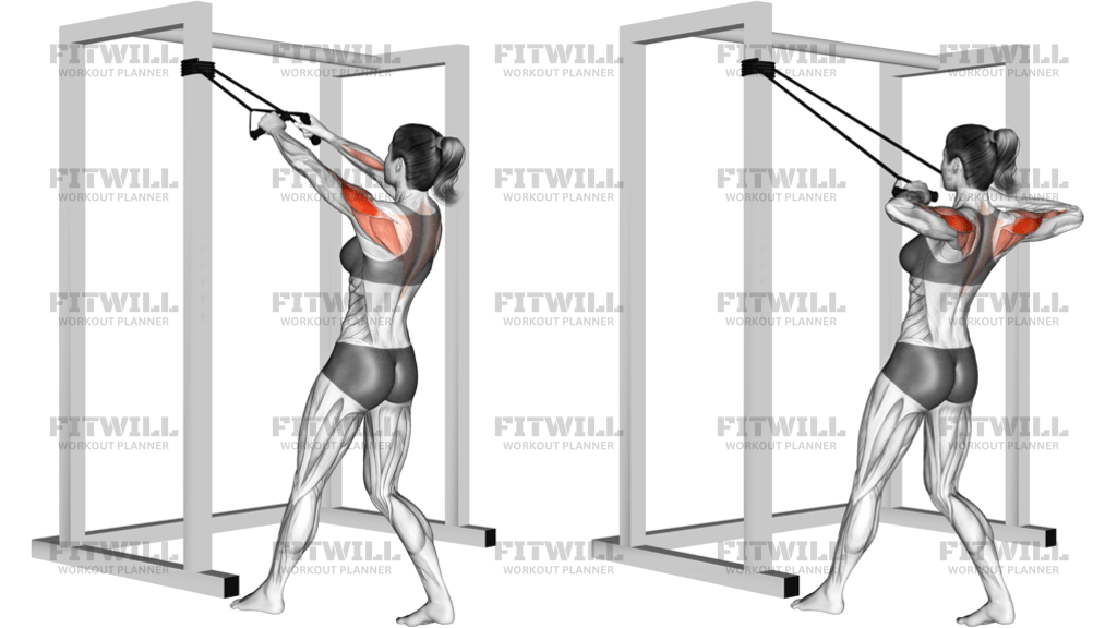 Band Standing Rear Delt Row