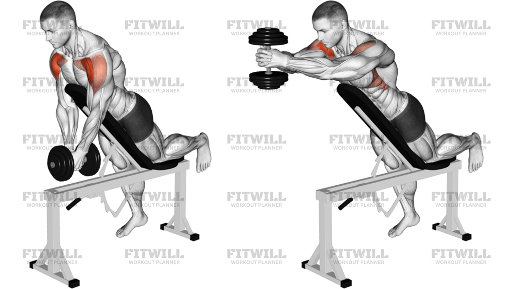 Dumbbell Incline Front Raise With Chest Support