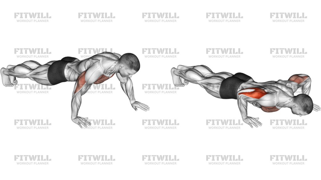 Push-Up Hand By Hand
