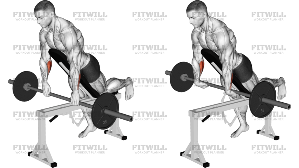 Barbell Incline Wrist Curl With Chest Support