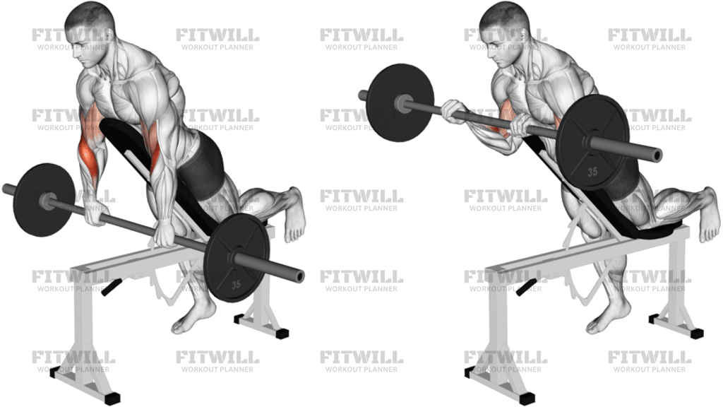 Barbell Incline Reverse-Grip Spider Curl With Chest Support
