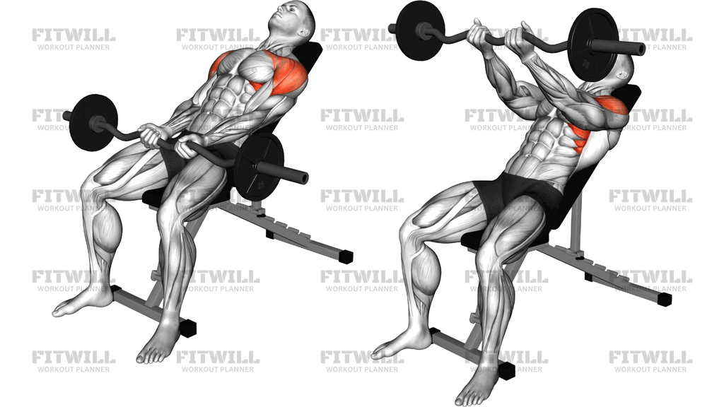 EZ-Bar Incline Front Raise