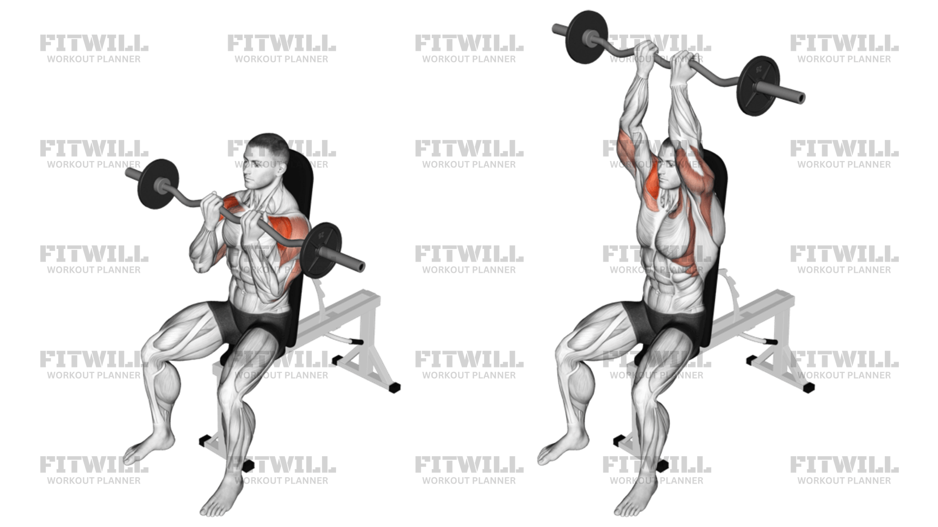 Ez bar overhead press hotsell