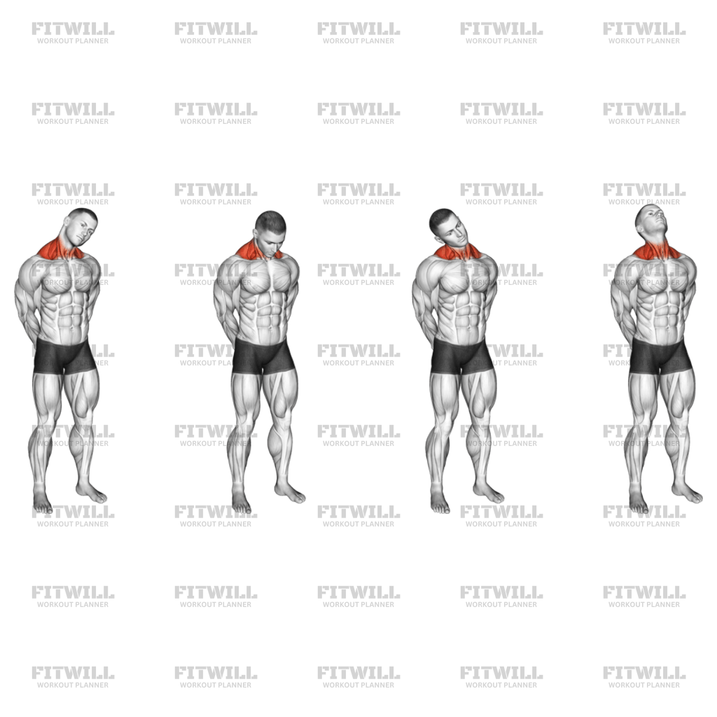 4-Week Home Workout Plan | Workout Library | Fitwill