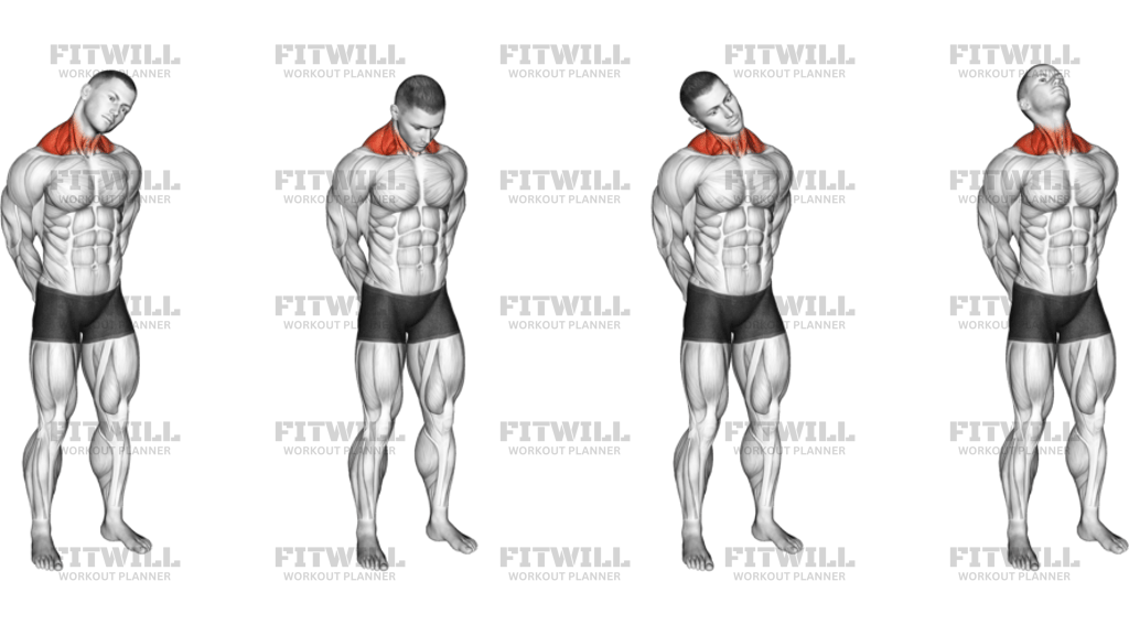 Neck Circle Stretch