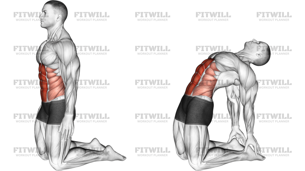Backward Abdominal Stretch