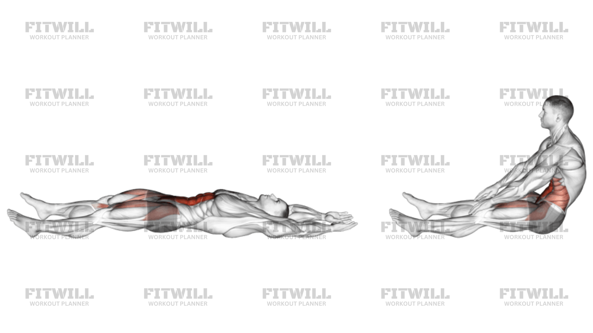 Straight Leg Sit Up Exercise Guide Video Techniques Benefits How to Muscles Worked Tips Tricks Fitwill