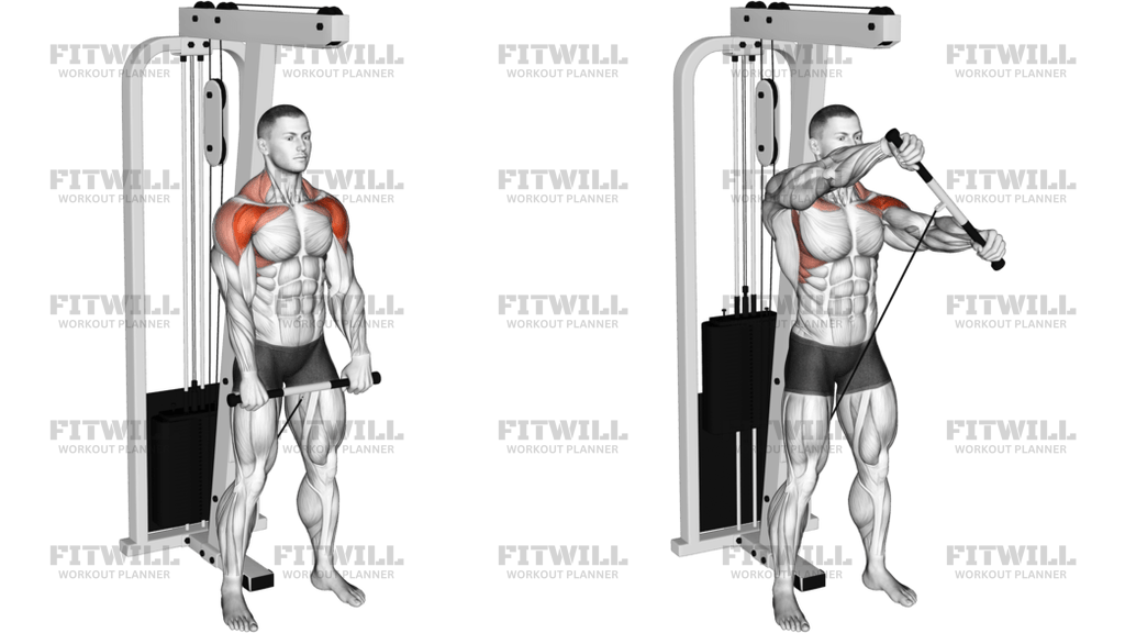 Cable Standing Front Raise With Rotation