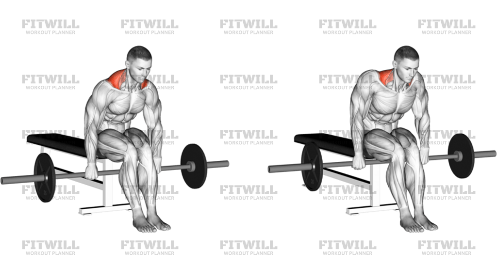 Barbell Seated Shrug