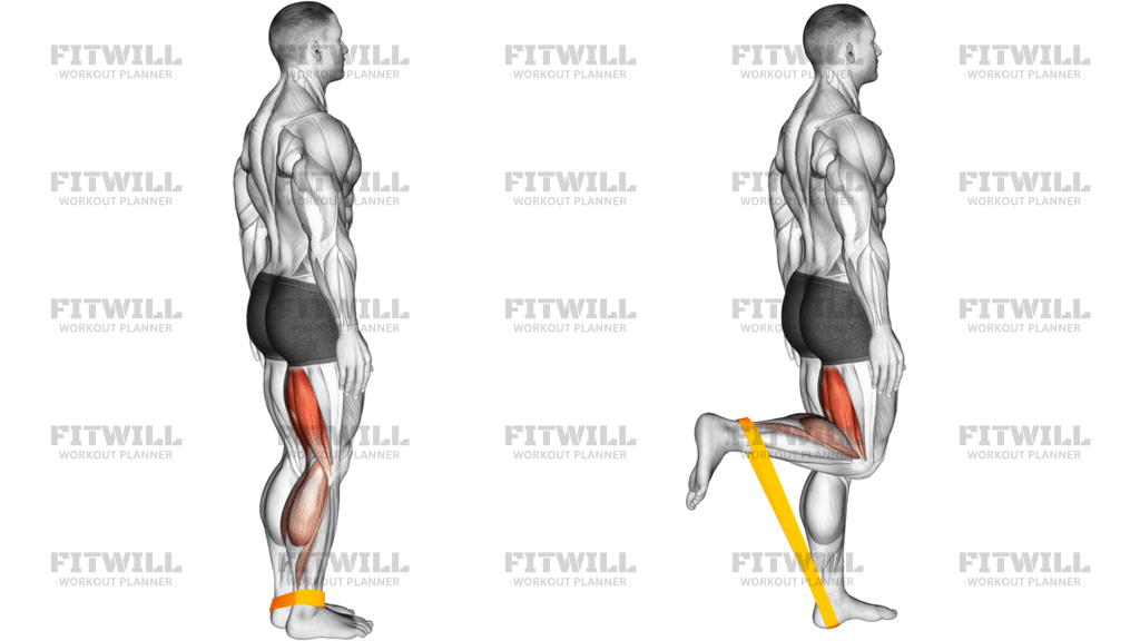 Resistance Band Leg Curl