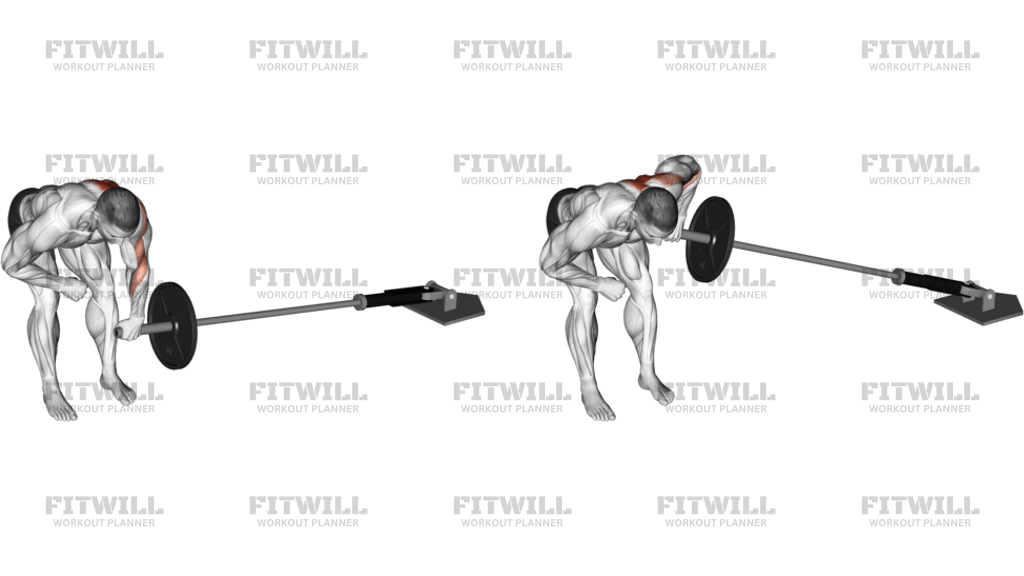 Landmine Tek Kol Bent-Over Row