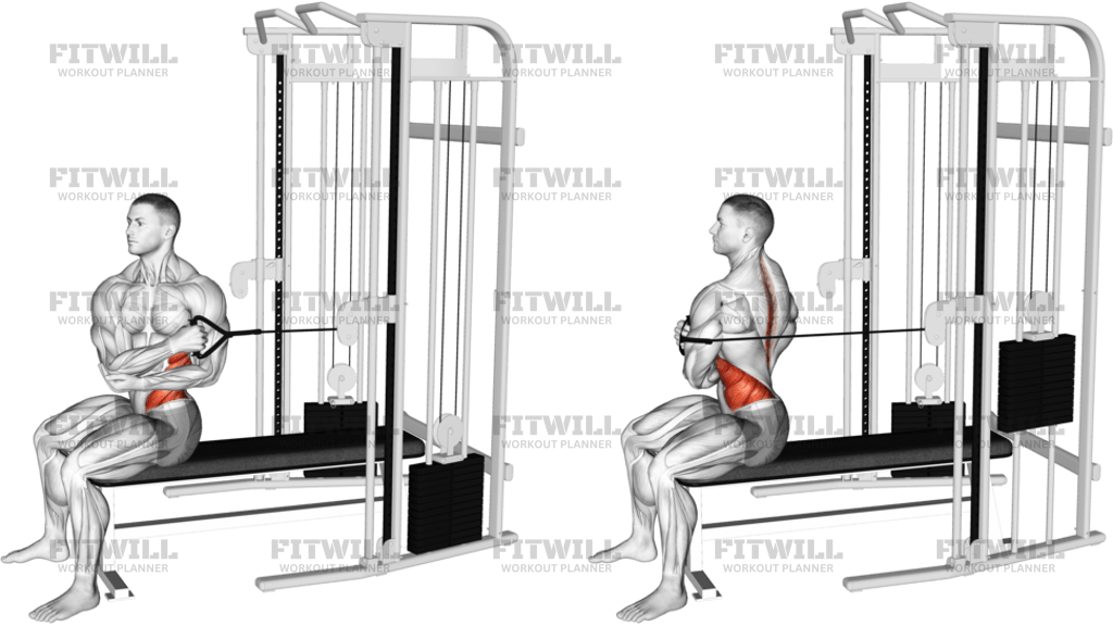 Cable Seated Cross Arm Twist