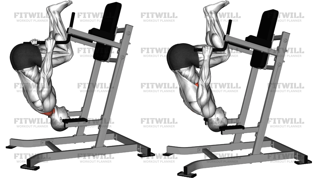 Inverted Shrug On Parallel Bars