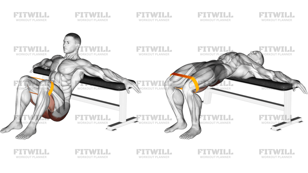 Hip Thrusts Avec Bande De Résistance