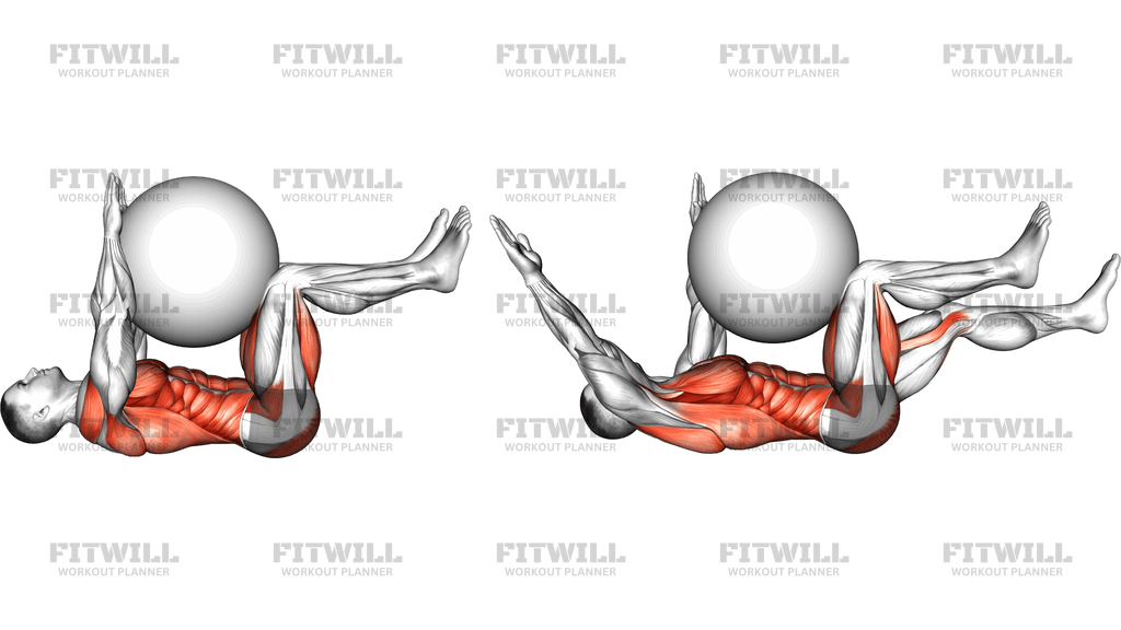 Dead Bug With Stability Ball