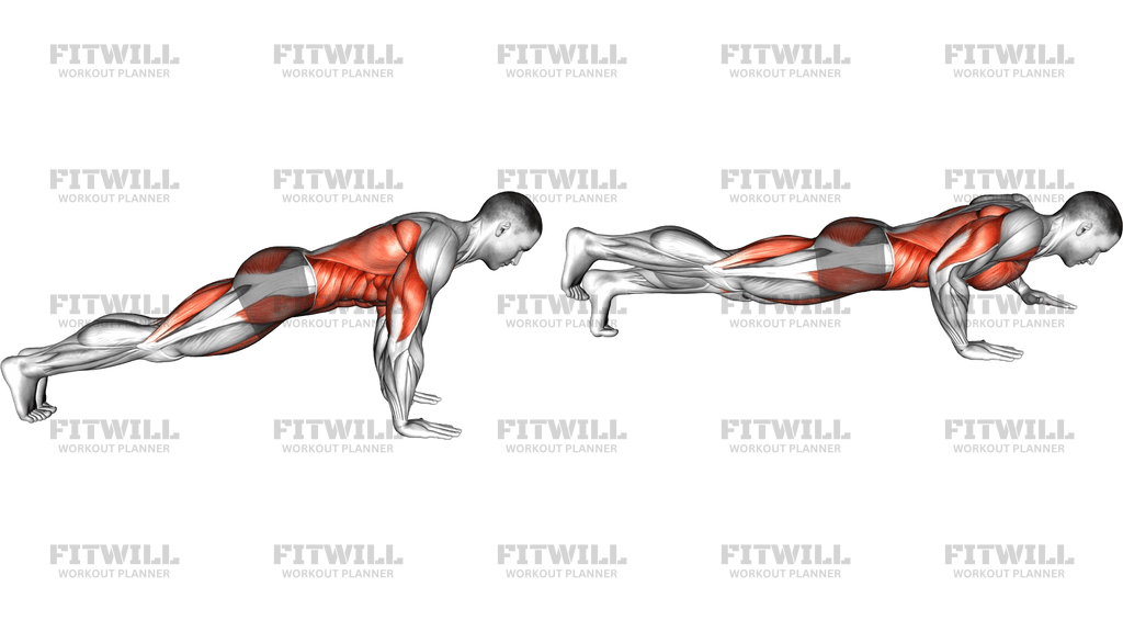 Bird Dog Push-Up
