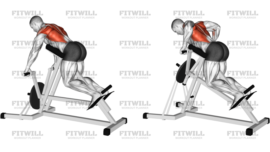 Lever Lying Banded T-Bar Row