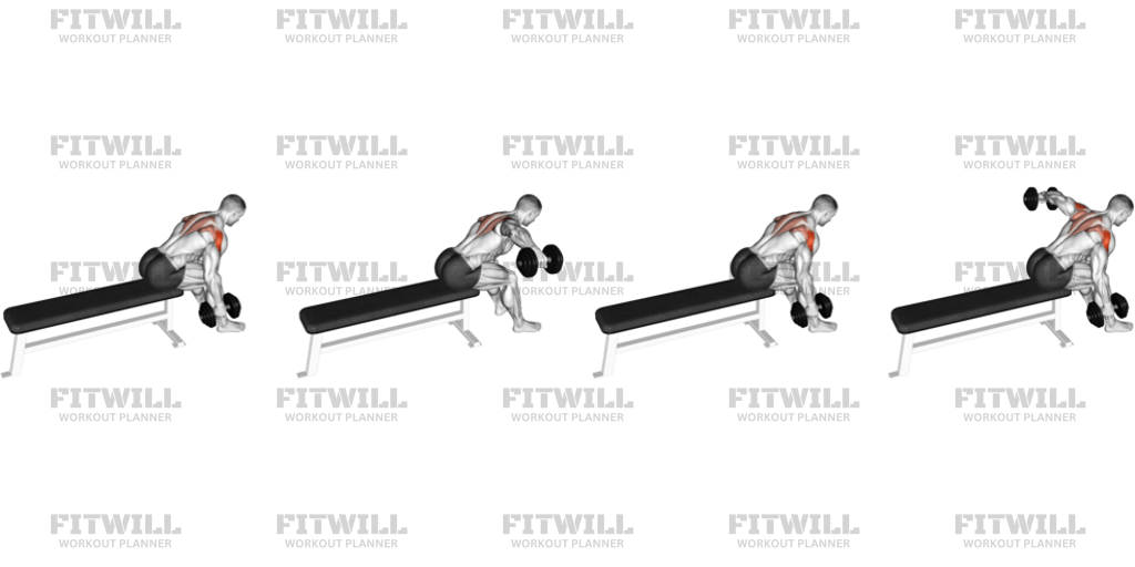 Dumbbell Seated Bent-Over Alternate Rear Delt Fly: Exercise Guide ...