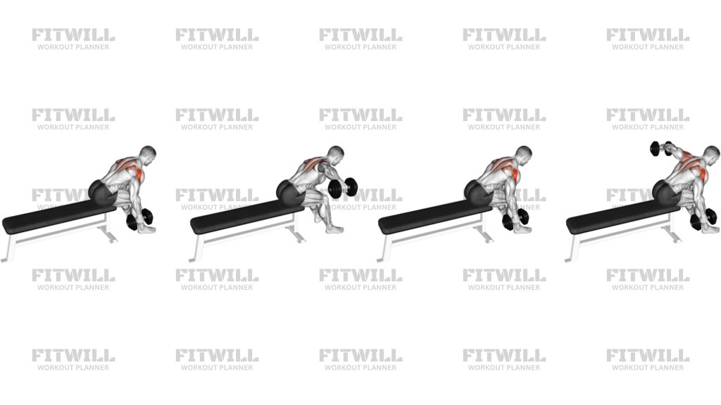 Dumbbell Seated Bent-Over Alternate Rear Delt Fly