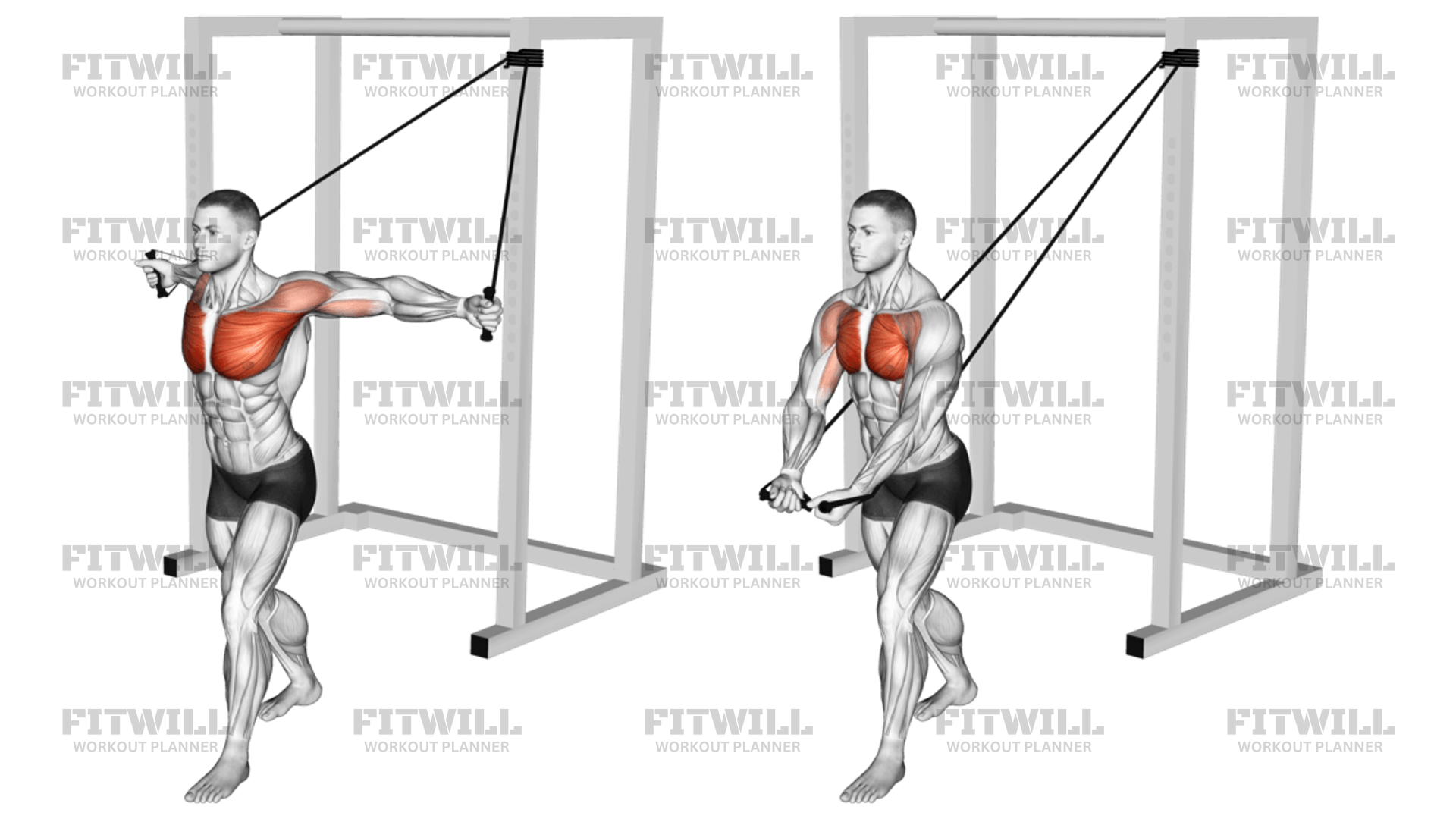 How to do Band Low Chest Fly: Techniques, Benefits, Tips & Tricks | Fitwill