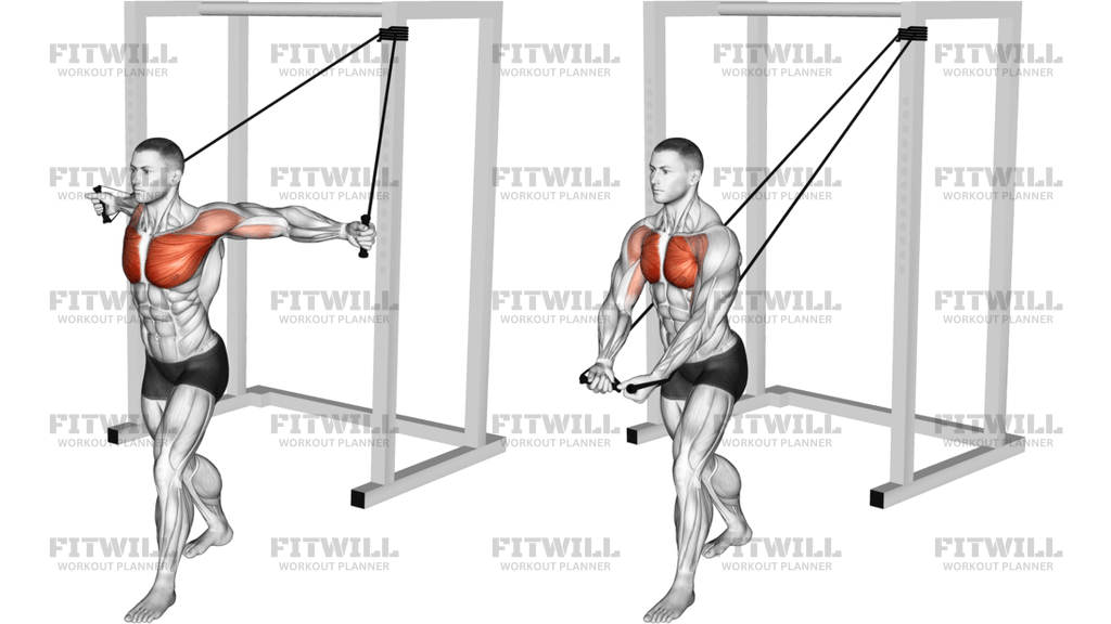 Band Low Chest Fly