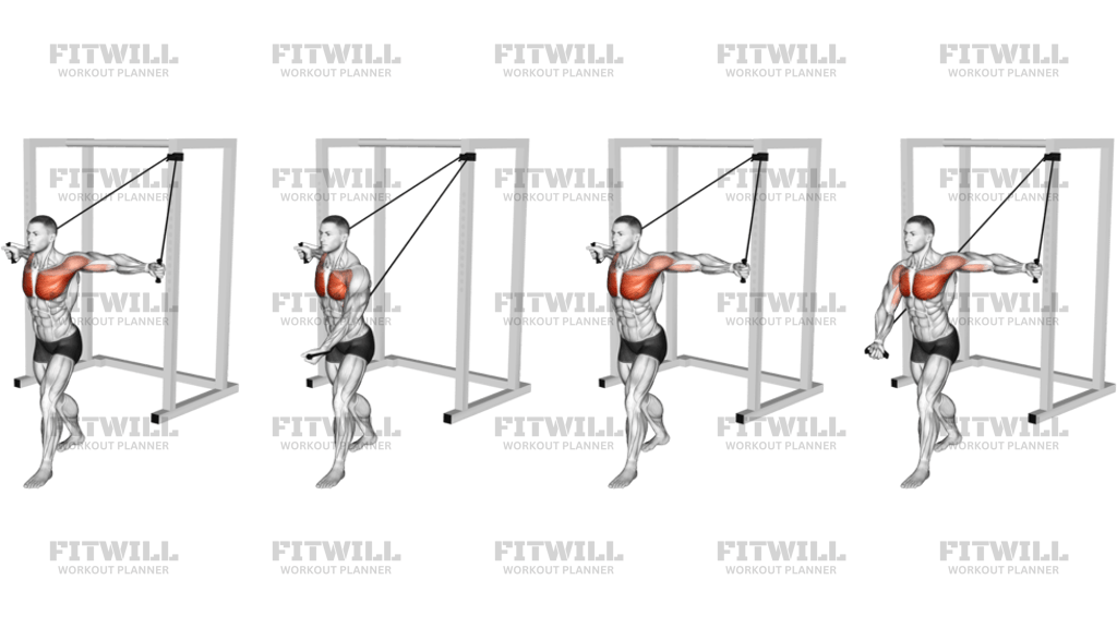 Band Alternate Low Chest Fly